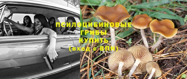 ешки Великий Новгород