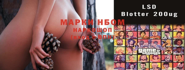 твердый Лабытнанги