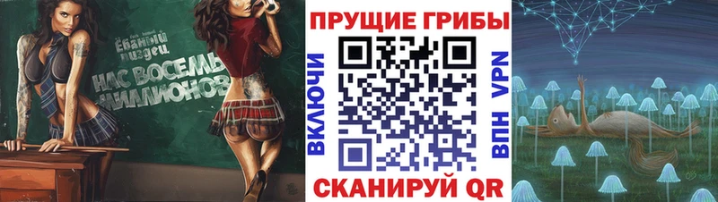 Галлюциногенные грибы MAGIC MUSHROOMS  ссылка на мегу вход  Оленегорск 